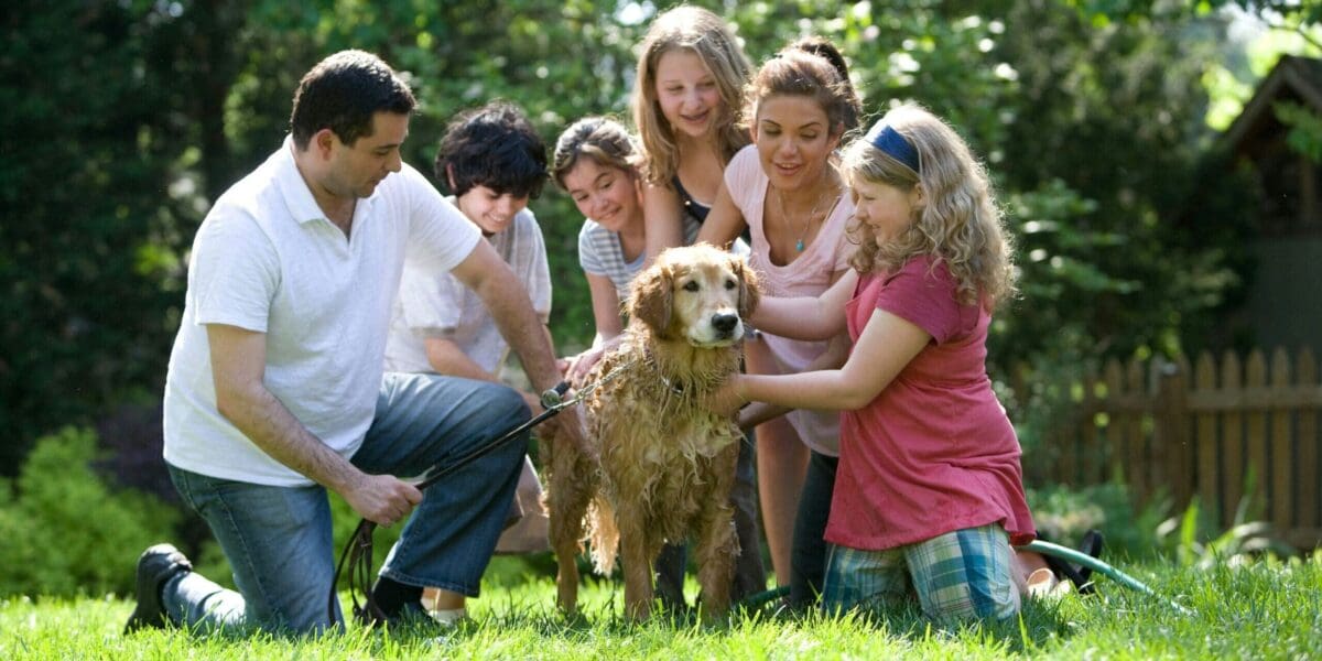 Awesome Benefits of Family Pets – Benefits of Having a Pet to Care For Awesome Benefits of Family Pets - Benefits of Having a Pet to Care For