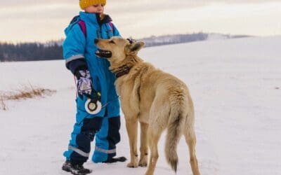 Pets: A Child's Best Friend for Development