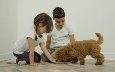 Paws for Thought: Kids and Pets