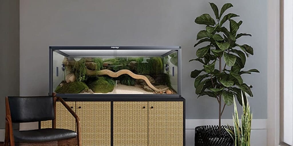 85 Gallon Reptile Tank - Front Opening Snake Tank for Easy Maintenance Care - Reptile Terrarium Enclosure with Top Screen