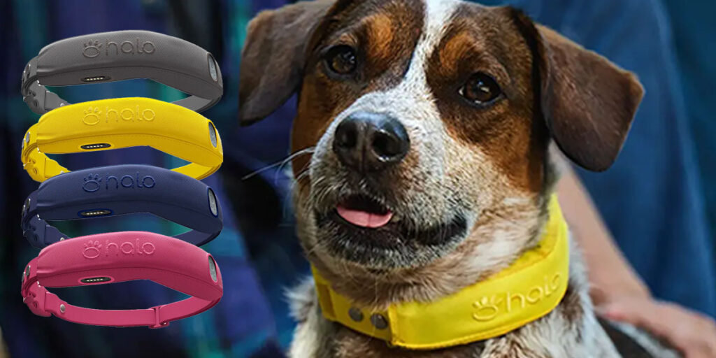 HALO 4 GPS Wireless Dog Fence Collection