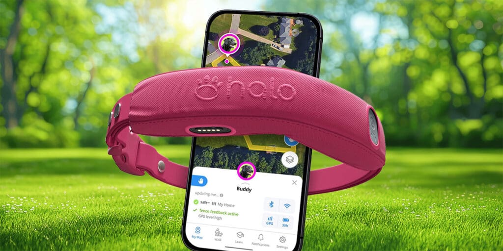 HALO 4 GPS Wireless Dog Fence - Orchid