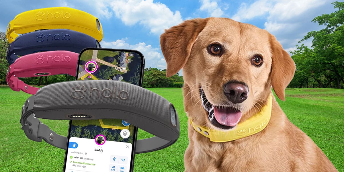 HALO 4 GPS Wireless Dog Fence