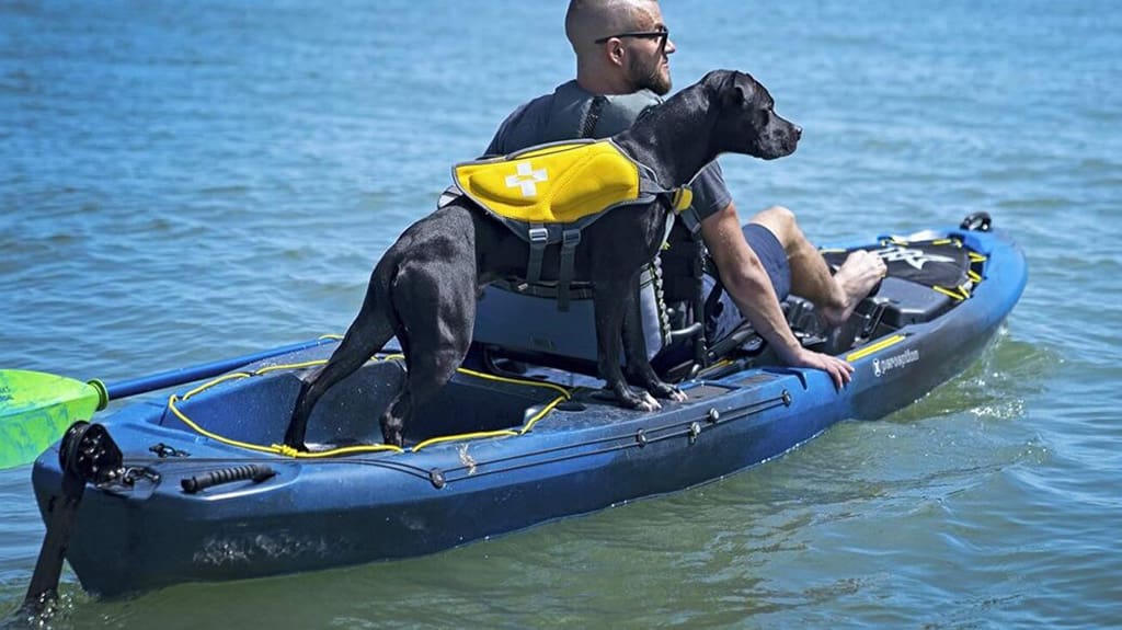Kayaking With Your Best Friend Protected – Get Your Dog Life Jacket Ready for the Trip Kayaking With Your Best Friend Protected - Get Your Dog Life Jacket Ready for the Trip