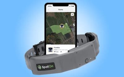 SpotOn GPS Dog Collar Review