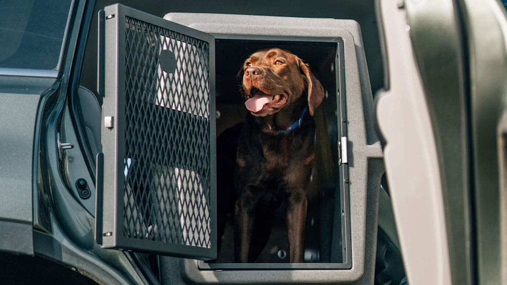Dakota 283 Hero Dog Kennel – Spacious & Safe Dog Transport Dakota 283 Hero Dog Kennel - Spacious & Safe Dog Transport