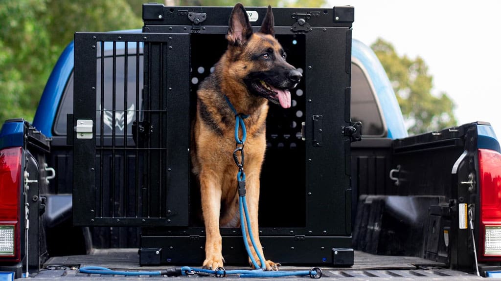 Portable Heavy-Duty Collapsible Aluminum Dog Crate - Lockable K9 Transport Crate