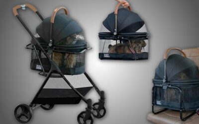 Pet Gear View 360 Review