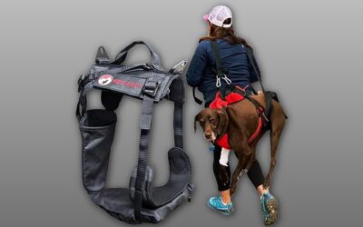 Fido Pro Panza Harness V2 Review