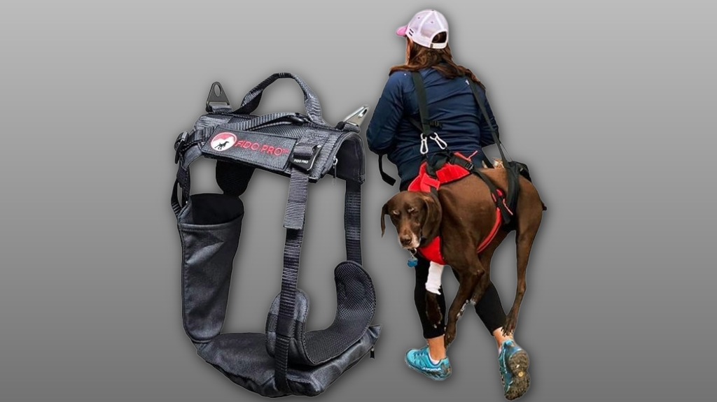 adjustable front clip no pull harness