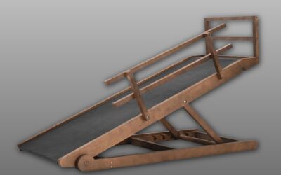 Dog Ramp for Bed Review