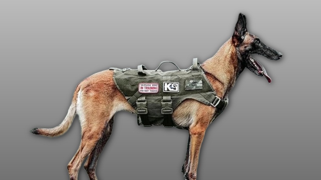 adjustable rugged tactical canine harness