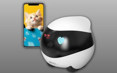 Enabot EBO SE Familybot Review