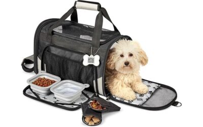 Mobile Dog Gear Pet Carrier Plus Review