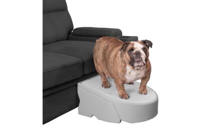 Pet Gear Stramp Stair and Ramp Combination Review