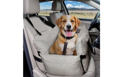 Dog Car Seat for Small/Medium Dogs Review