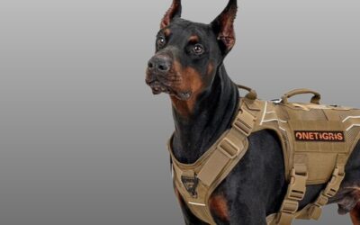 OneTigris Tactical Dog Harness for Large Dogs Review
