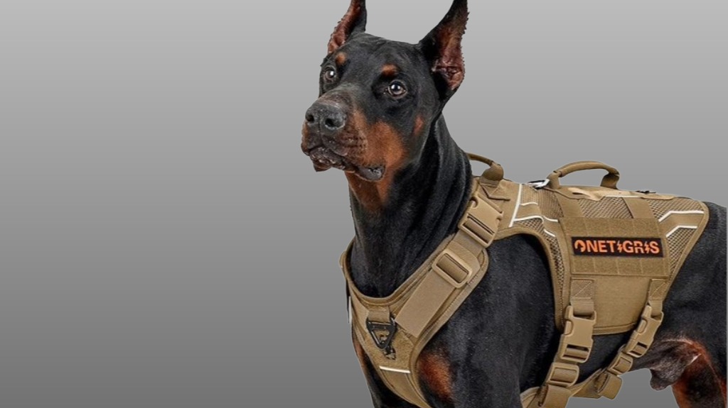 durable adjustable tactical dog harness