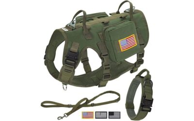 Forestpaw Tactical Dog Harness Review