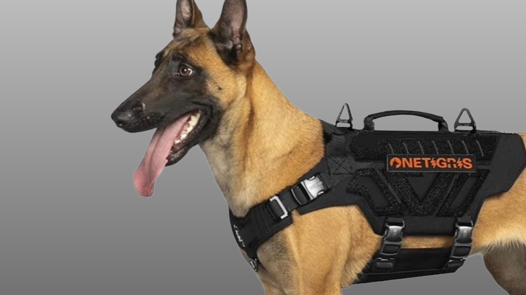 durable tactical harness with padding