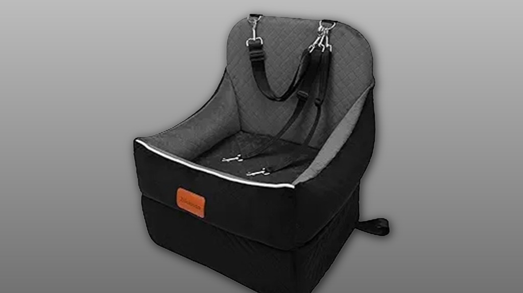 elevated secure padded canine seat