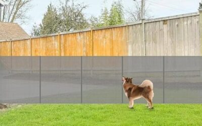 Reinforced 42″ Extra Tall Pet Gate 155″ Review