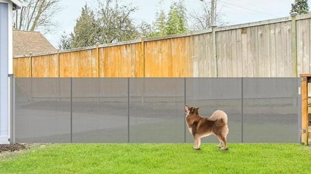 extra tall reinforced pet gate extra tall reinforced pet gate