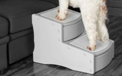 Pet Gear Easy Step II Extra Wide Review