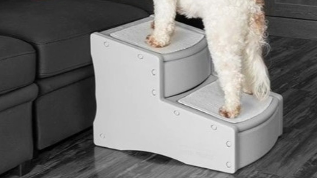 extra wide pet ramp review extra wide pet ramp review