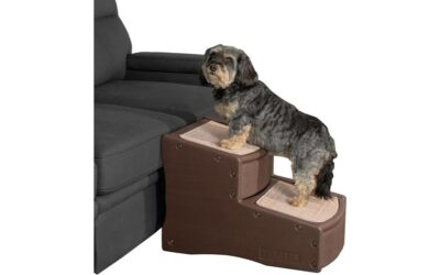 Pet Gear Easy Step II Pet Stairs Review
