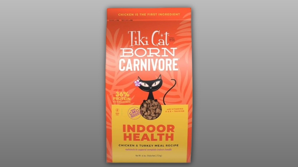 grain free wet catfood review grain free wet catfood review