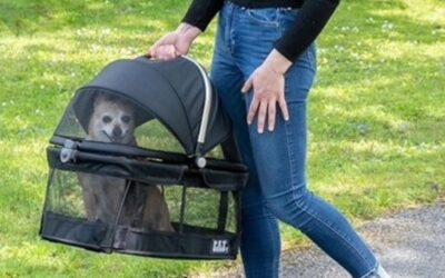Pet Gear No-Zip View 360 Pet Safety Carrier Review