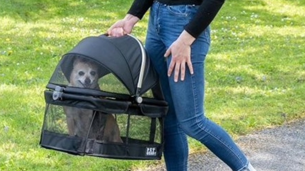 hands free 360 pet carrier