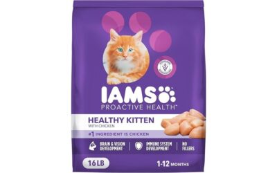 IAMS Proactive Health Healthy Kitten Dry Cat Food Review