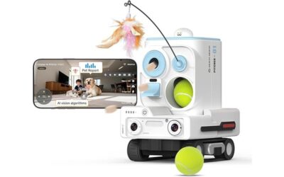 Pmate AI Pet Robot Companion Review