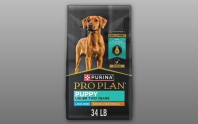 Purina Pro Plan Large Breed Dry Puppy Food Review