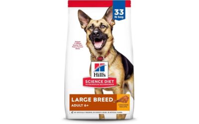 Hill’s Science Diet Large Breed Senior Review