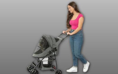 Pet Gear Happy Trails Lite Pet Stroller Review