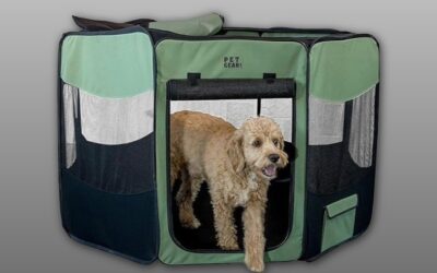 Pet Gear Travel Lite Portable Play Pen Review