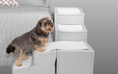Pet Gear Easy Step Bed Stair Review