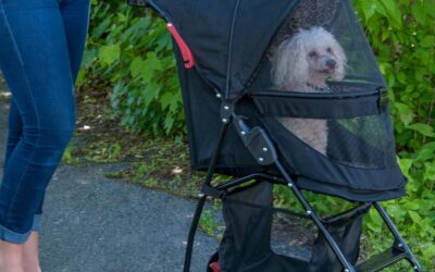 Pet Gear No-Zip Happy Trails Lite Review