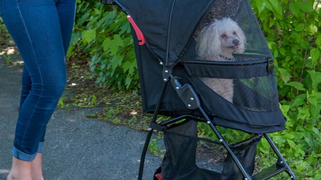 lightweight hands free pet stroller lightweight hands free pet stroller
