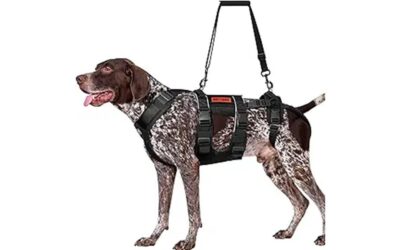 Onetigris Breathable Dog Lift Harness Review
