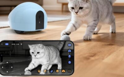 Pet Camera Robot With Treat Dispenser Review