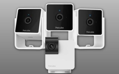 Petcube Cam 3 Pack and Cam 360 Bundle Review