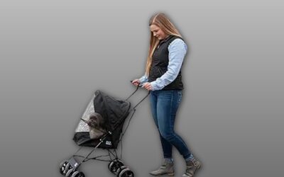 Pet Gear Travel Lite Plus Stroller Review