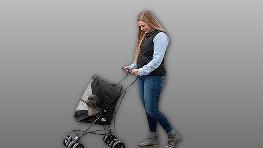 portable pet stroller with canopy