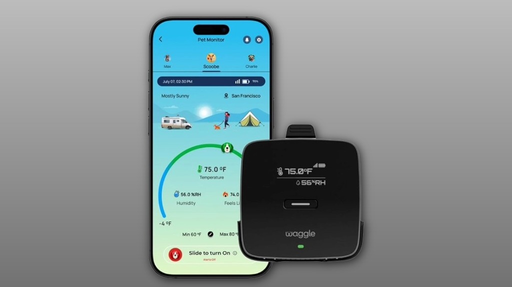 portable pet temperature monitor