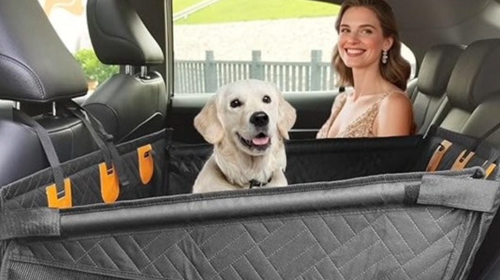 review dog car seat