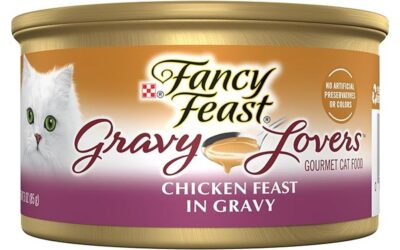 Purina Fancy Feast Gravy Lovers Chicken Feast Review